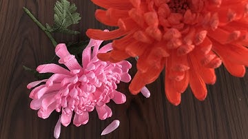 Cách Làm Hoa Cúc Đại Đóa Giấy Nhún