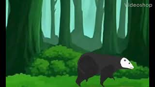 DC2: Bear walking test/ Teste do urso andando.
