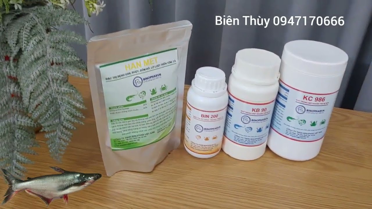 Phòng trị bệnh thối đuôi thối thân lở loét gan thận mủ trên cá tra cá da trơn