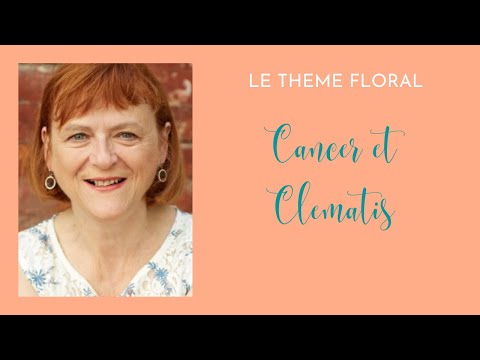 Vidéo: Mascottes De Fleurs Du Signe Du Zodiaque Cancer