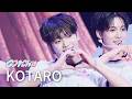 [📹FocusCam/推しカメラ/직캠]  #KOTARO VIBY - Gotcha (ガチャ) | VIBY DEBUT SHOWCASE 『VIBY LAND』at 日本武道館 | 260831