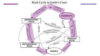 Celebrity The Rock Cycle (ESRT Page #6) Profile