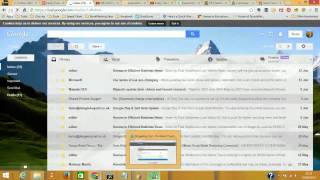Easily Track Your Website Ranking Using Pro Rank Tracker