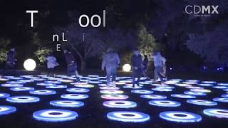 Visual Art Week 2017 (Jen Lewin)