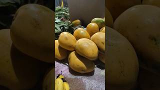 Dashari aam 😋 #shorts #youtubeshorts