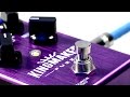 NAMM 2015 - The Kingmaker Fuzz from Source Audio - A Sneak Peek