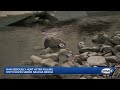 Man seriously injured after falling onto rocks under Nashua bridge