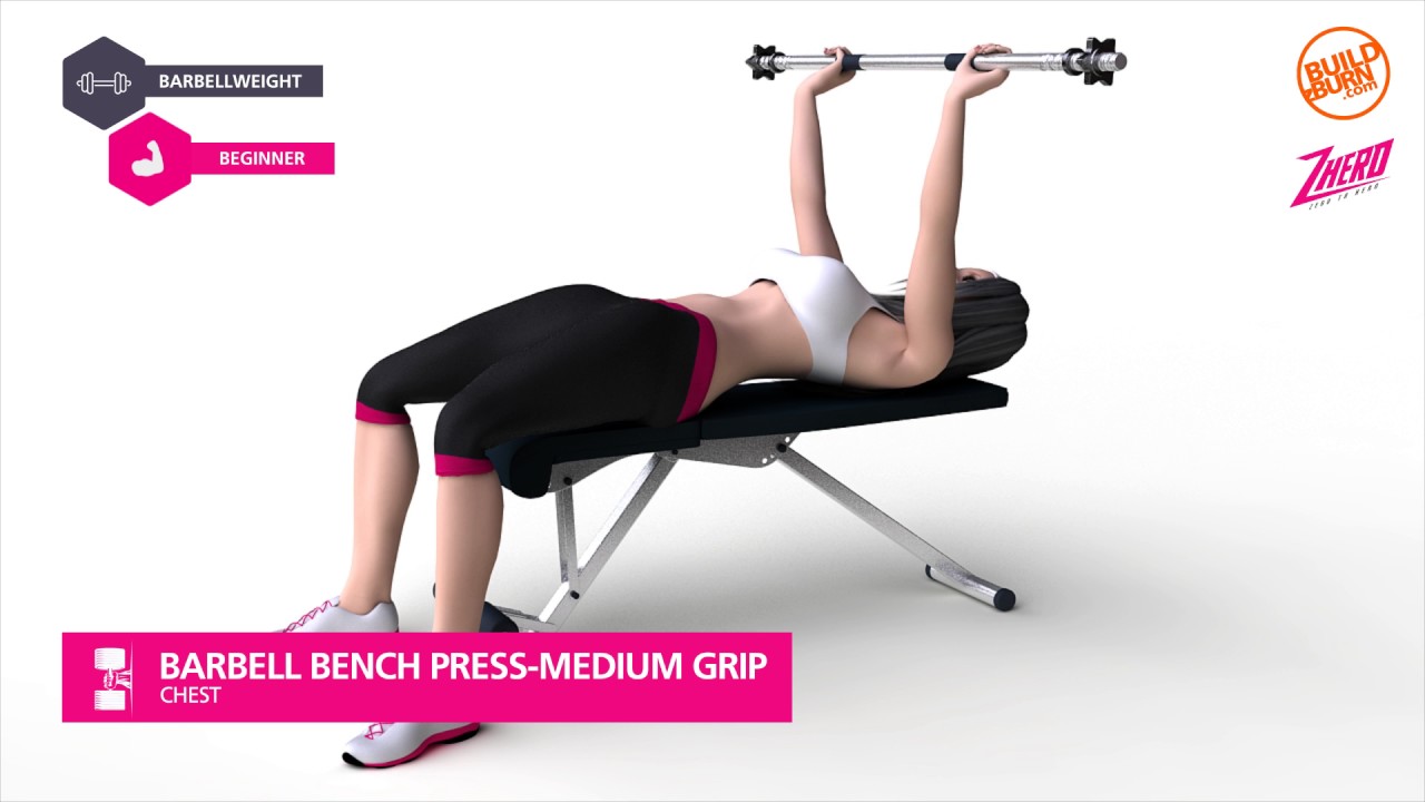 Chest Barbell Bench Press Medium Grip YouTube