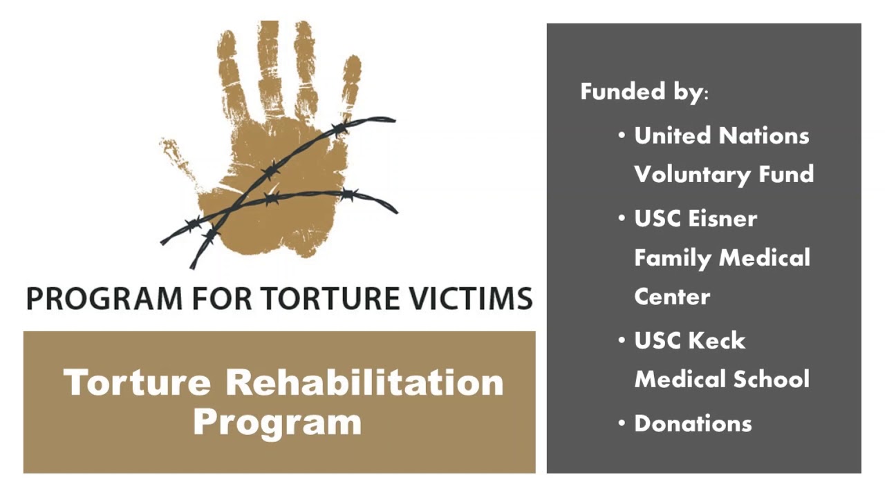 Program for Torture Victims