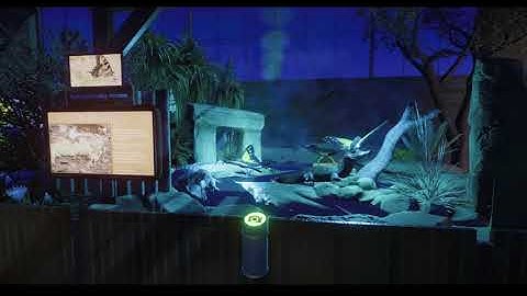 Planet Zoo Pride Competition - Transformations Butterfly House