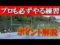 【プロも必ずやる練習】テニス スマッシュ対ロブ、ストロークのポイント練習