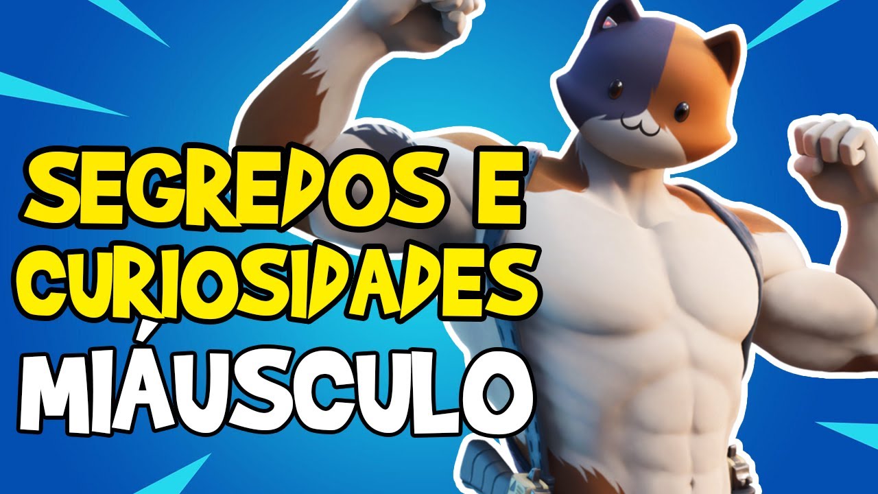 O gato ninja do fortnite, Wiki