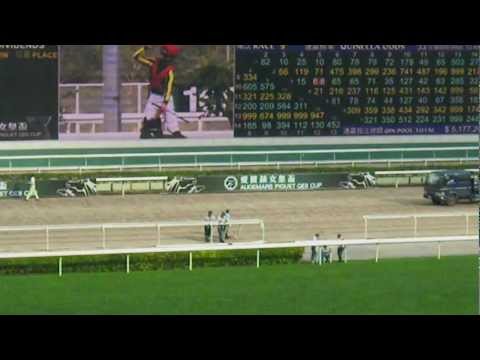 愛彼錶女皇盃2012