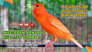 Kenari GACOR‼️ Masteran Burung Kenari PAUD dan Pancingan Kenari MACET BUNYI ( EPISODE 1418}