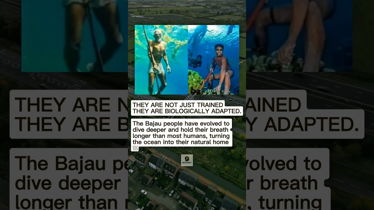 The Bajau People: Sea Nomads with a Natural Ability to Dive Like No Other