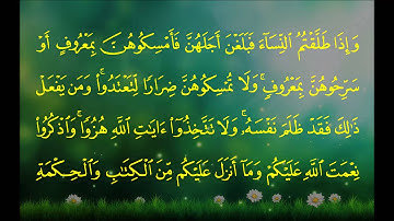 سورة البقرة (الآية 226 ~ الآية 233) - ماهر بن حمد المعيقلي