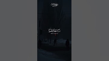 وقلن حش لله🤍 ｜ ما تيسر من سورة يوسف ｜ القارئ سالم الرويلي ｜ قرآن كريم