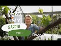 A Year in My Garden - Episode 4