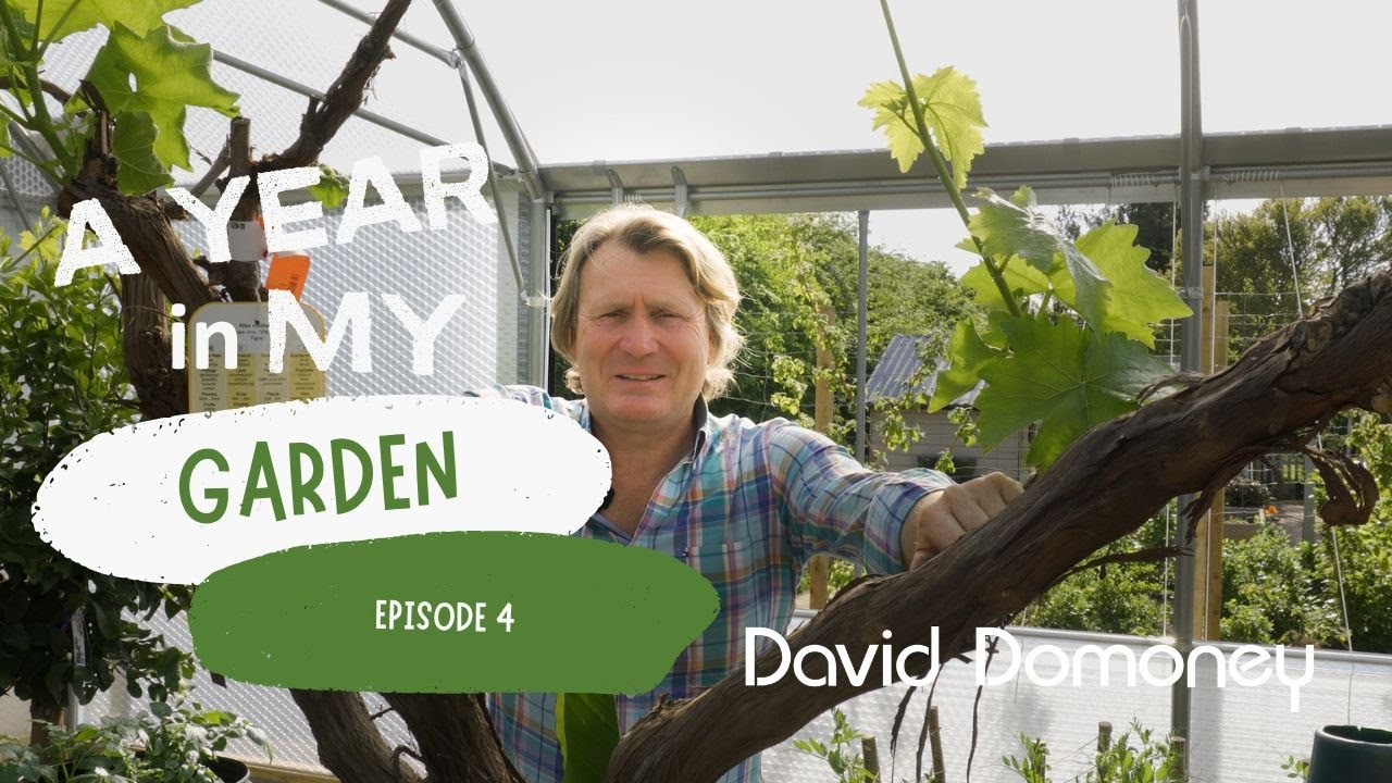 A Year in My Garden - Episode 4