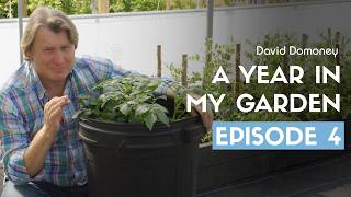 A Year in My Garden - Episode 4