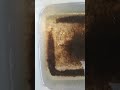 Até em Matinhos/PR eu caço foco do Aedes.
