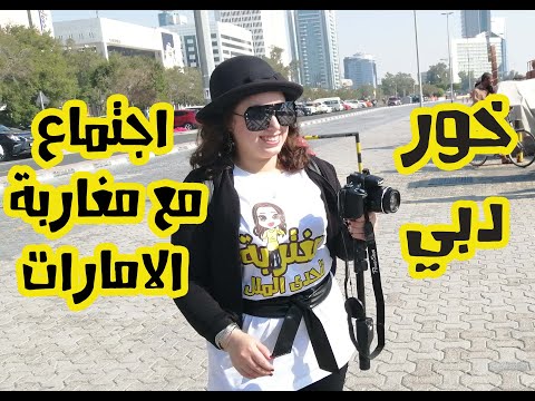 فيديو: هل مياه خور دبي مالحة؟