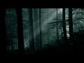 Carmine Dente - Inside Labyrinths