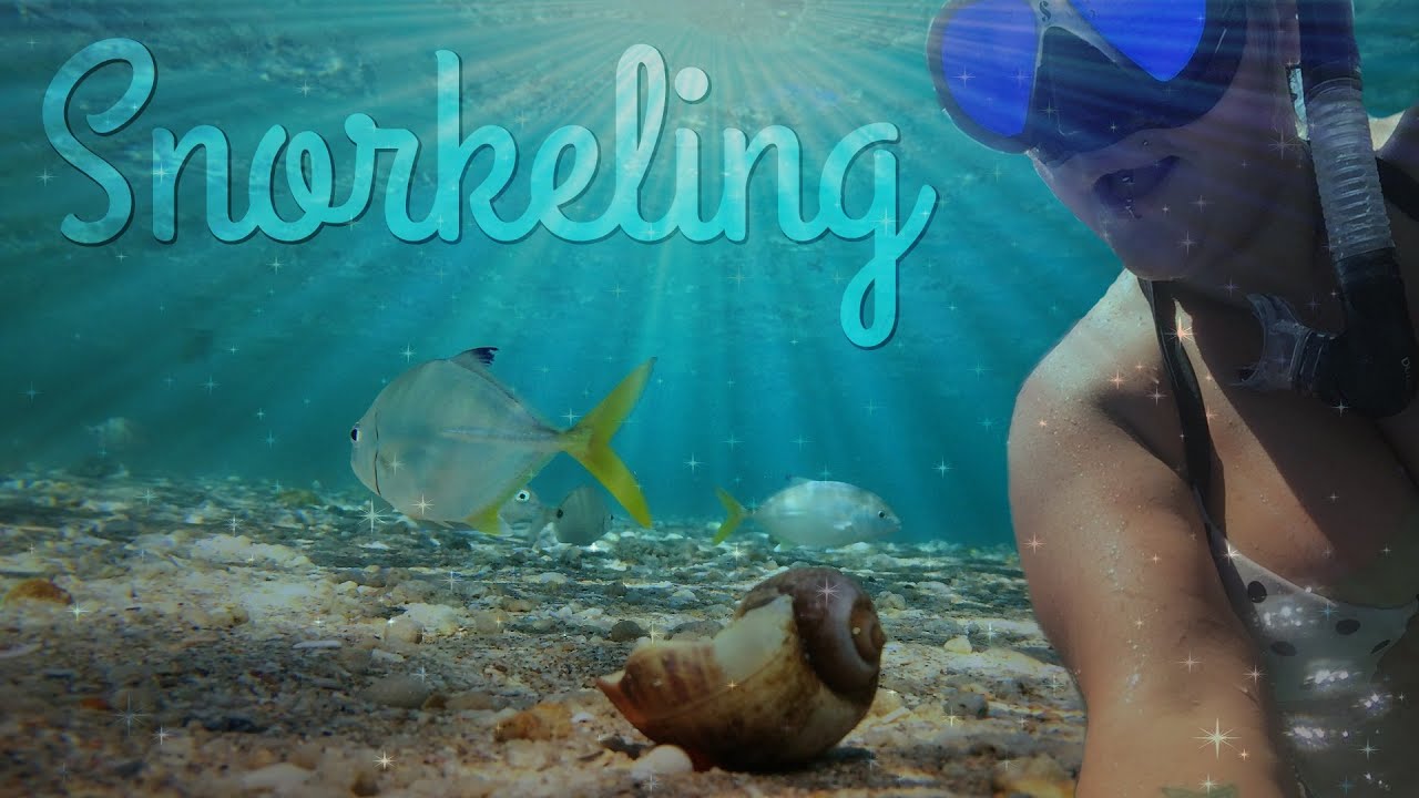 Snorkeling Peanut Island YouTube
