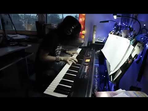 Muse - New Born  (Vkgoeswild piano cover)