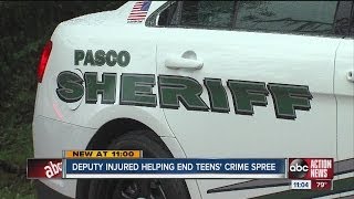 Teens' crime spree injures Pasco deputy