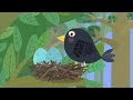 Ben e Holly em Português Animals 2 | Episodios | Desenhos Animados
