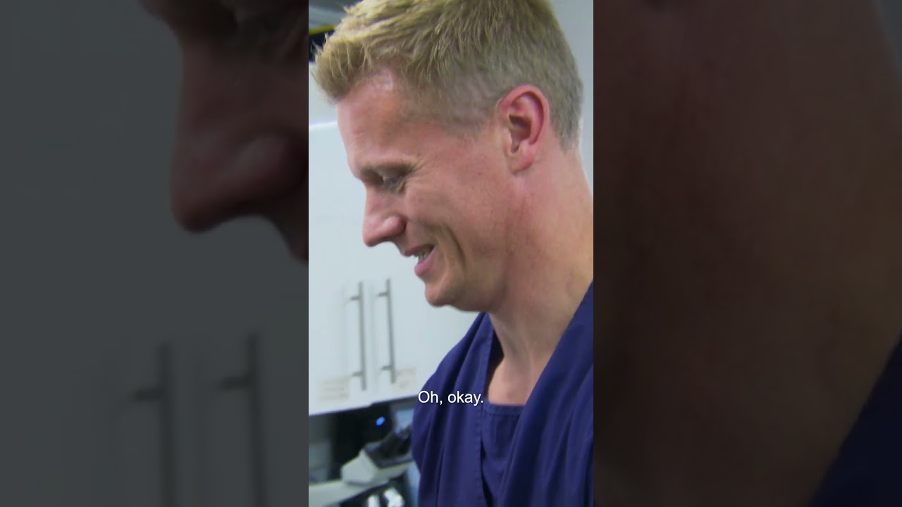 A Large Lump Is Pushing Out This Cat's Forehead 😲 | Bondi Vet #shorts