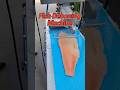 High Efficiency Fish Deboning Machine for Salmon#foodprocessing #salmon  #fishprocessing#foodmachine