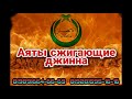 Рукъя - Аяты сжигающие джинна. Шейх Халид Аль Хибши (Лучший по этой профессии).