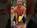 #fruit #mango #automation #viralvideo