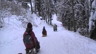 Sled Ride Zugerberg 1