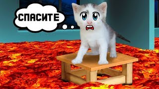 Кот МАЛЫШ и Кошка МУРКА ЧЕЛЛЕНДЖ НАЙДИ КОЛБАСКУ + ПОЛ ЭТО ЛАВА ЧЕЛЛЕНДЖ the floor is lava CHALLENGE Кот МАЛЫШ и Кошка МУРКА ЧЕЛЛЕНДЖ НАЙДИ КОЛБАСКУ + ПОЛ ЭТО ЛАВА ЧЕЛЛЕНДЖ the floor is lava CHALLENGE