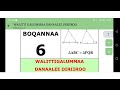 Heregga Kuta 7ffaa Boqqonna 6 Part 5 Hojjiraa Olmmaa Dannalee Walittigallo 