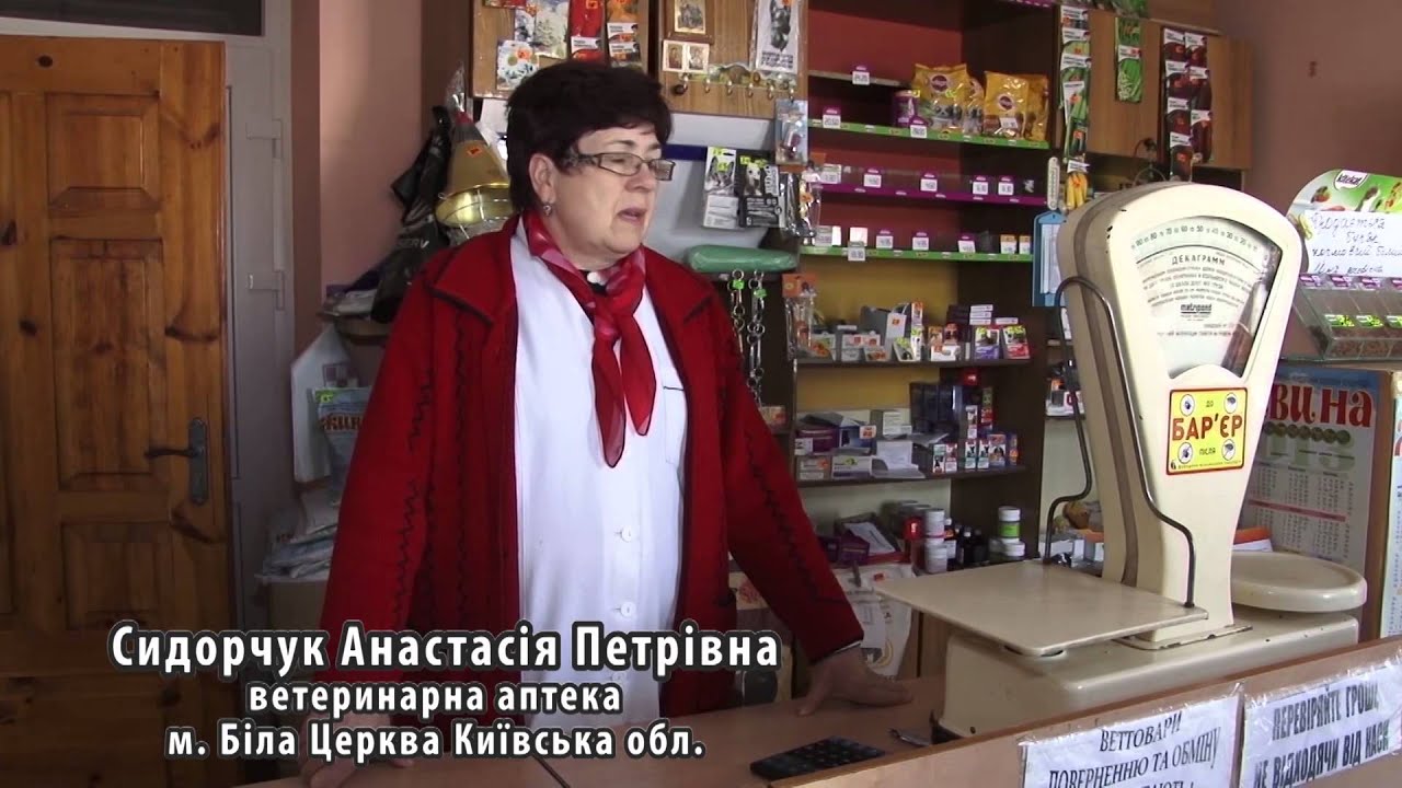 Отзыв [5] про O.L.KAR.