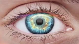 Reichert® 7CR Auto Tonometer + Corneal Response Technology Optimetrics