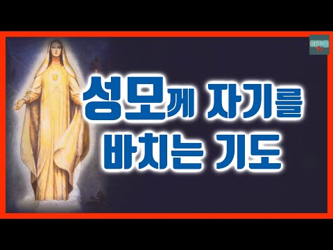 영상썸네일