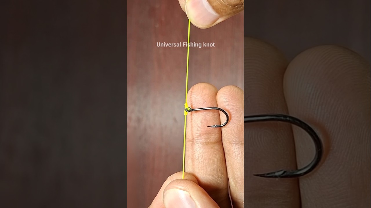 Easy tips for fishing v104 