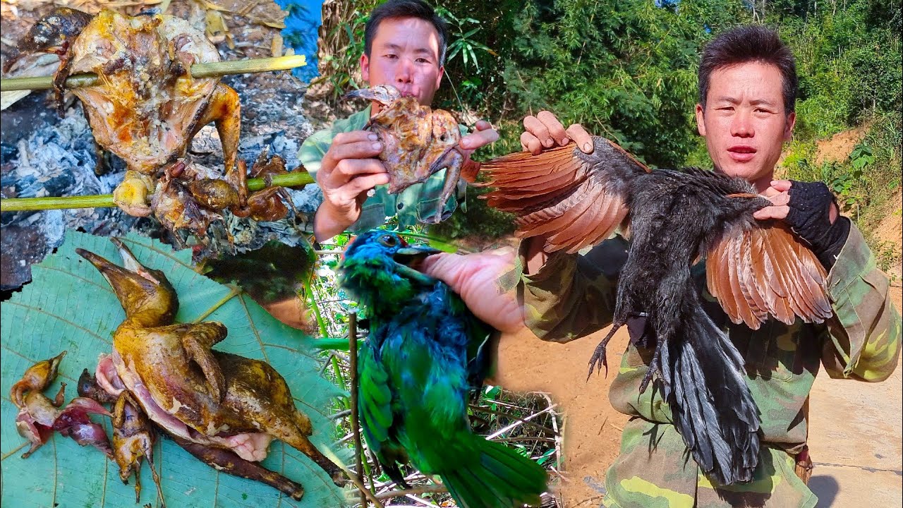 Birds Hunting With Slingshot 24 YouTube