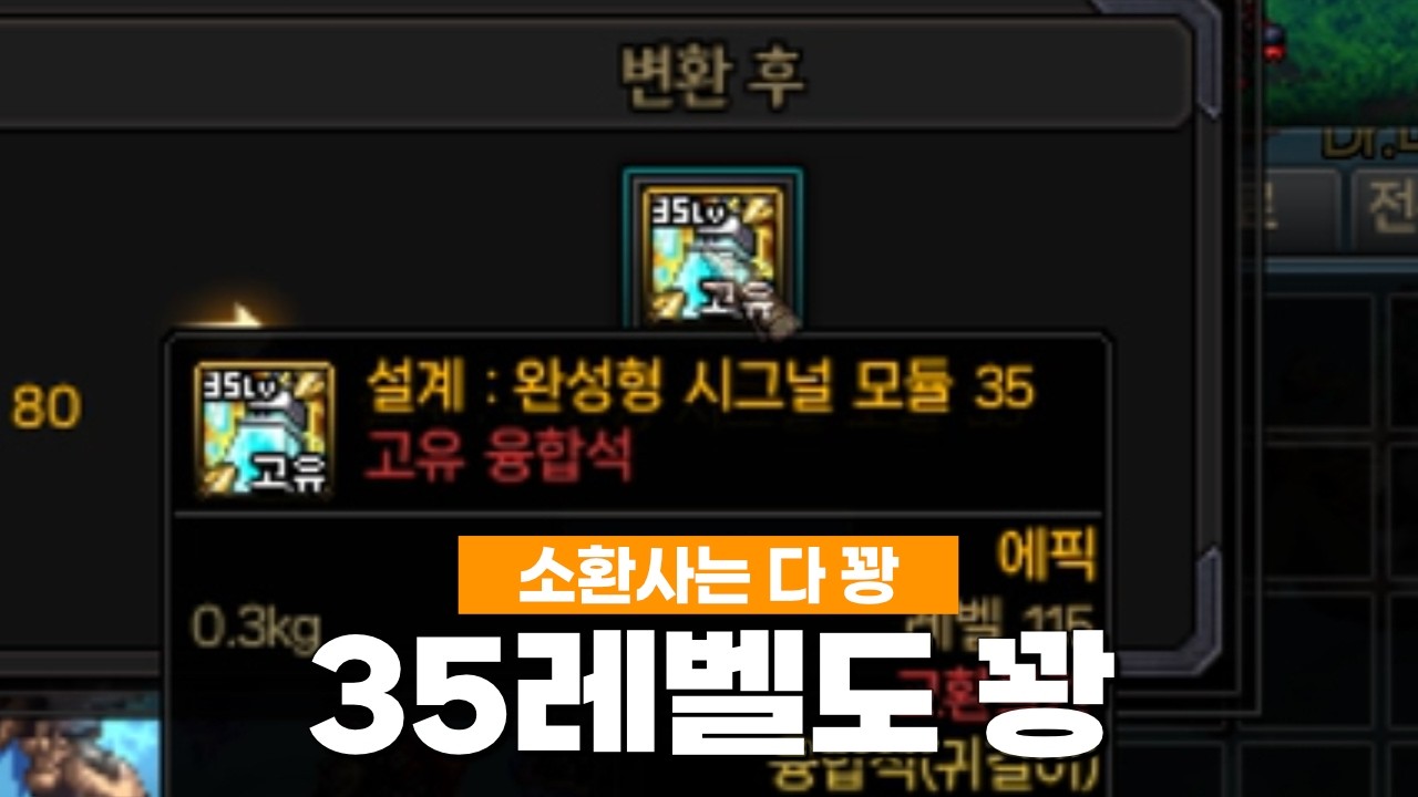 단단해지기 | 던파