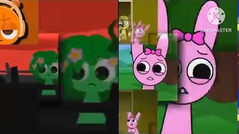 10 shuric scans with are slides 