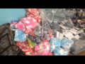 без названия 0816