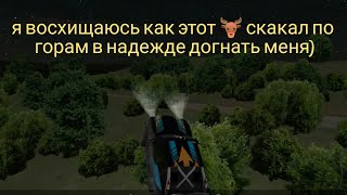 я восхищаюсь как этот 🦌 скакал по горам в надежде догнать меня)