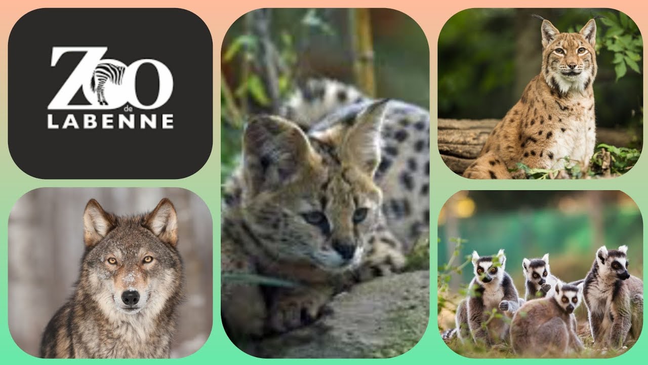 Zoo de Labenne