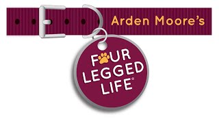 Famous Ep45 Promo Net Worth