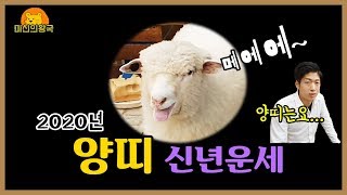 2020년 신년운세 양띠편 , 과연 내년 양띠 운세는??